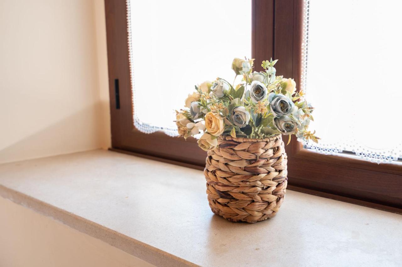 Casa Rural Solapena Pallide エクステリア 写真