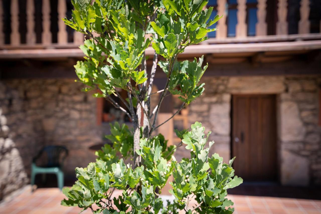Casa Rural Solapena Pallide エクステリア 写真